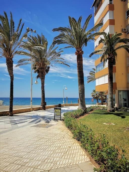 Estudio Algarrobo Costa Eksteriør billede